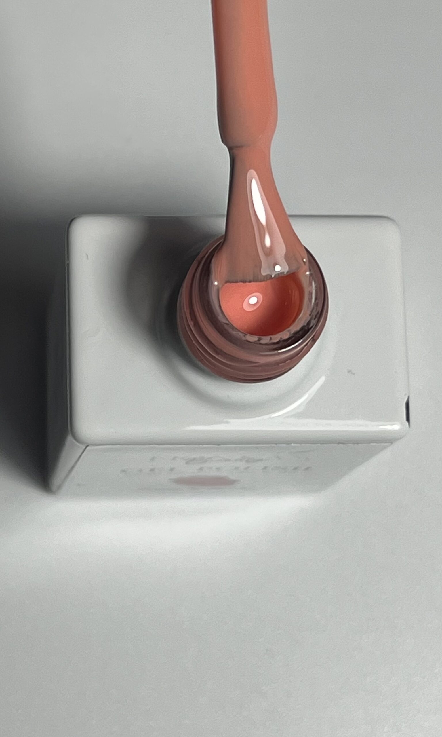 Oiseau du paradis 10ml – Image 2