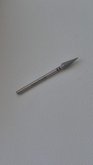 Tulipe